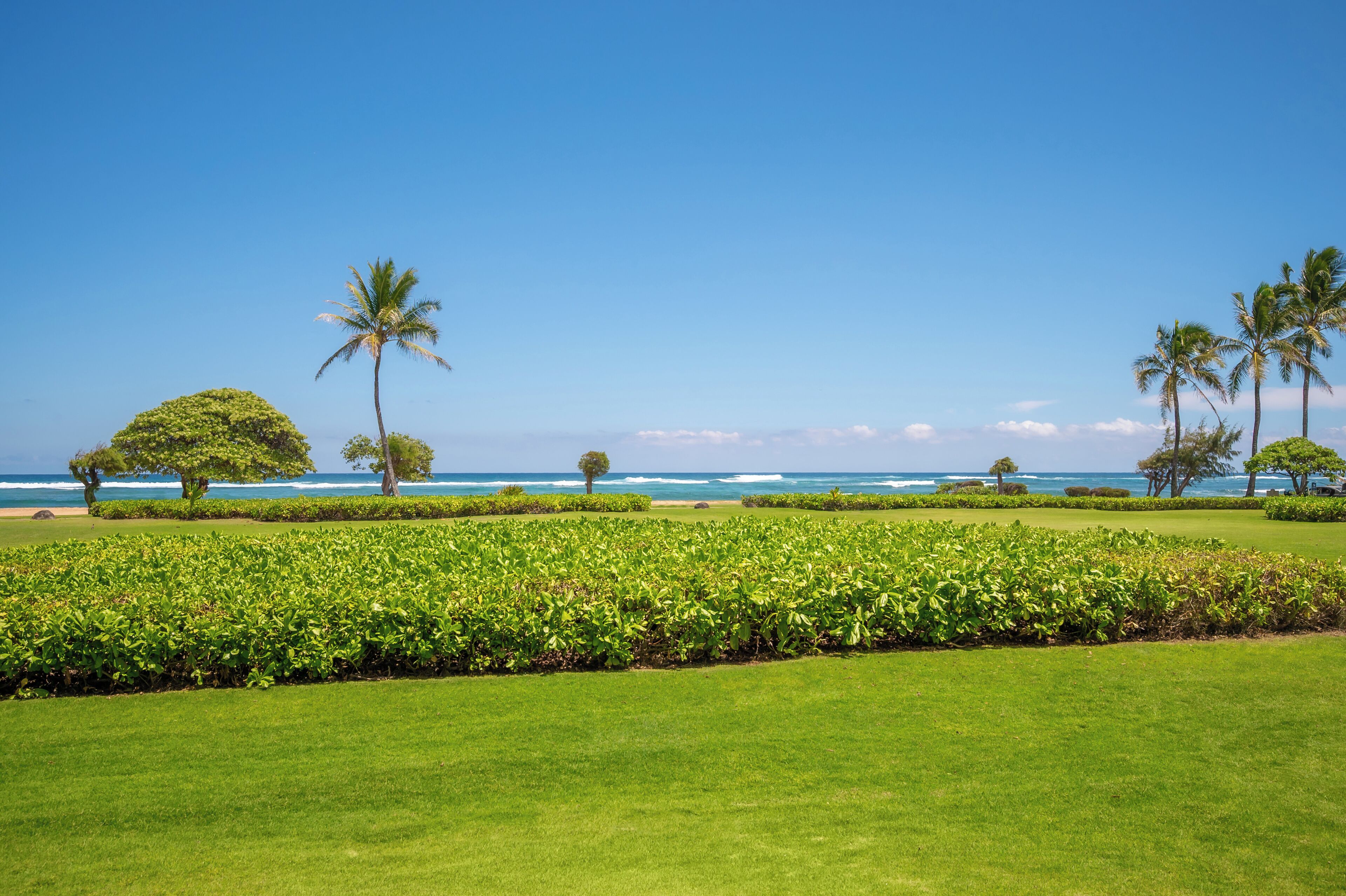 A well-maintained golf course with a clear view of the ocean and palm trees.