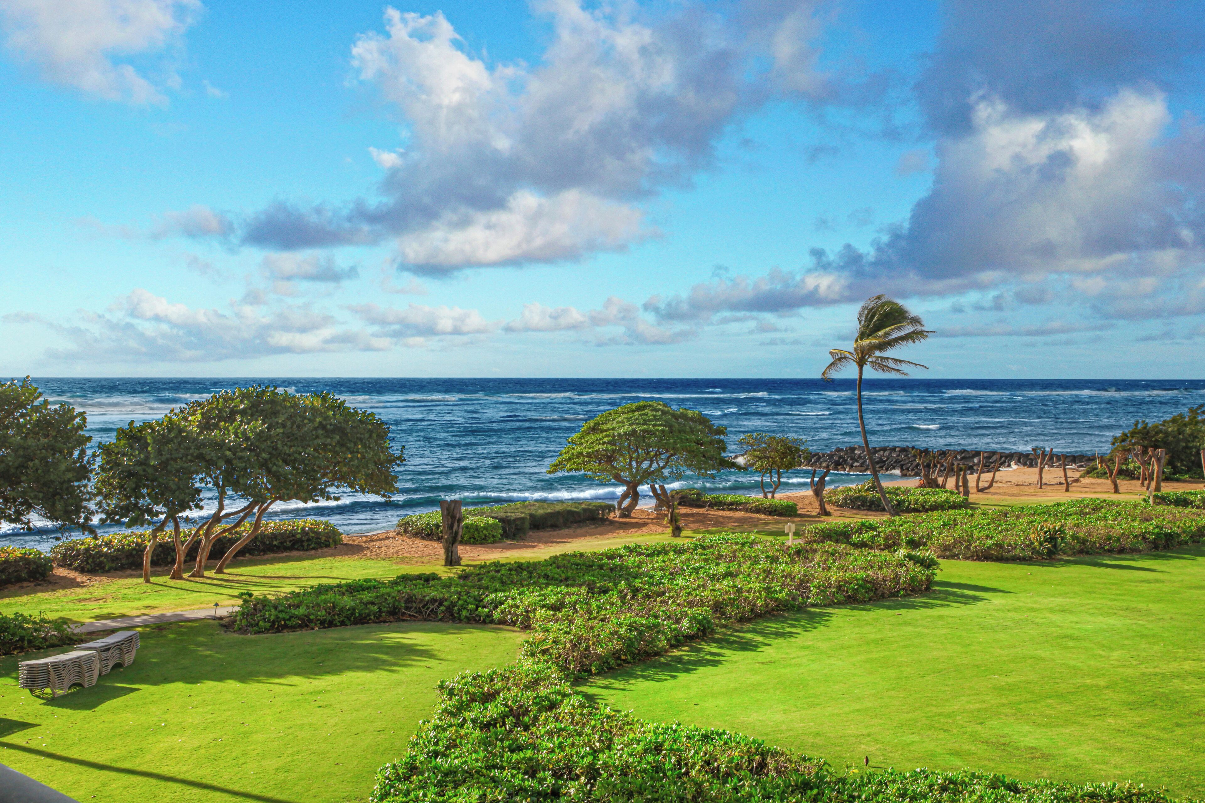 A well-maintained golf course with a view of the ocean and a palm tree.