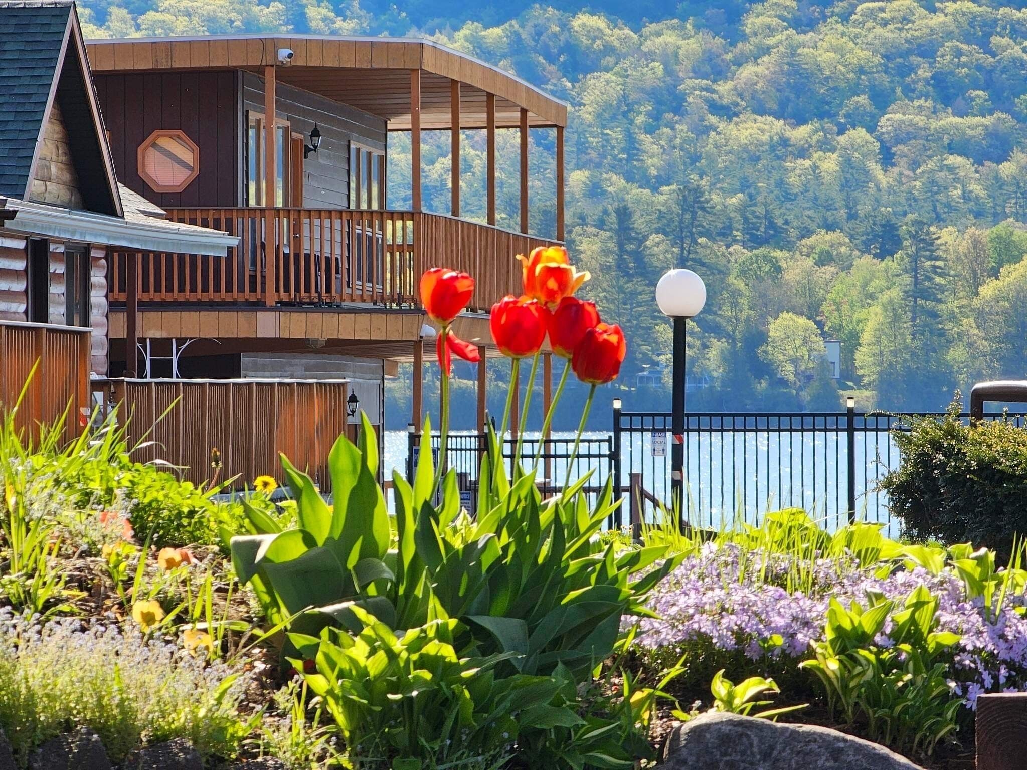 Khuôn viên nơi lưu trú