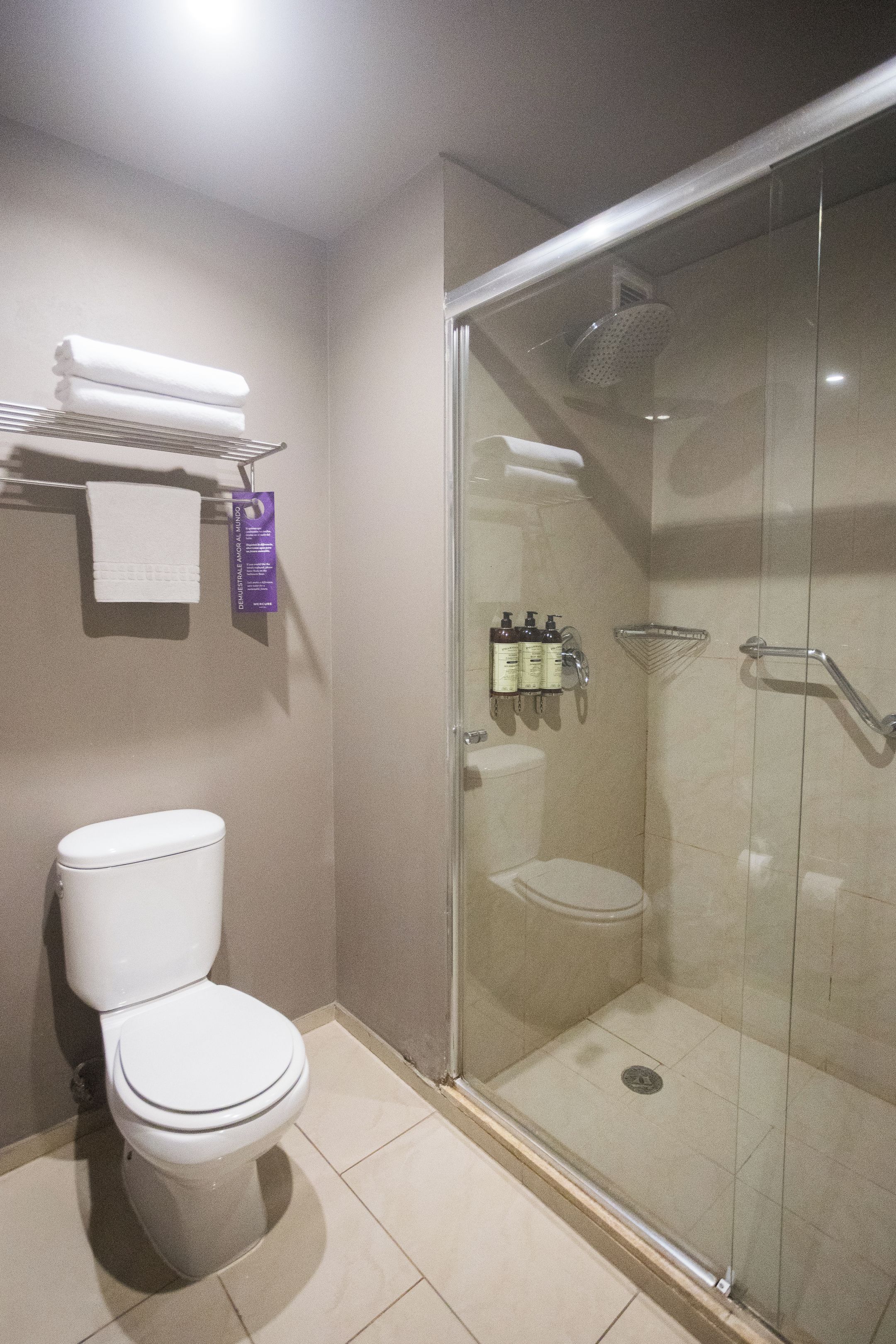 A bathroom with a toilet, a glass-enclosed shower, and a shelf with toiletries.