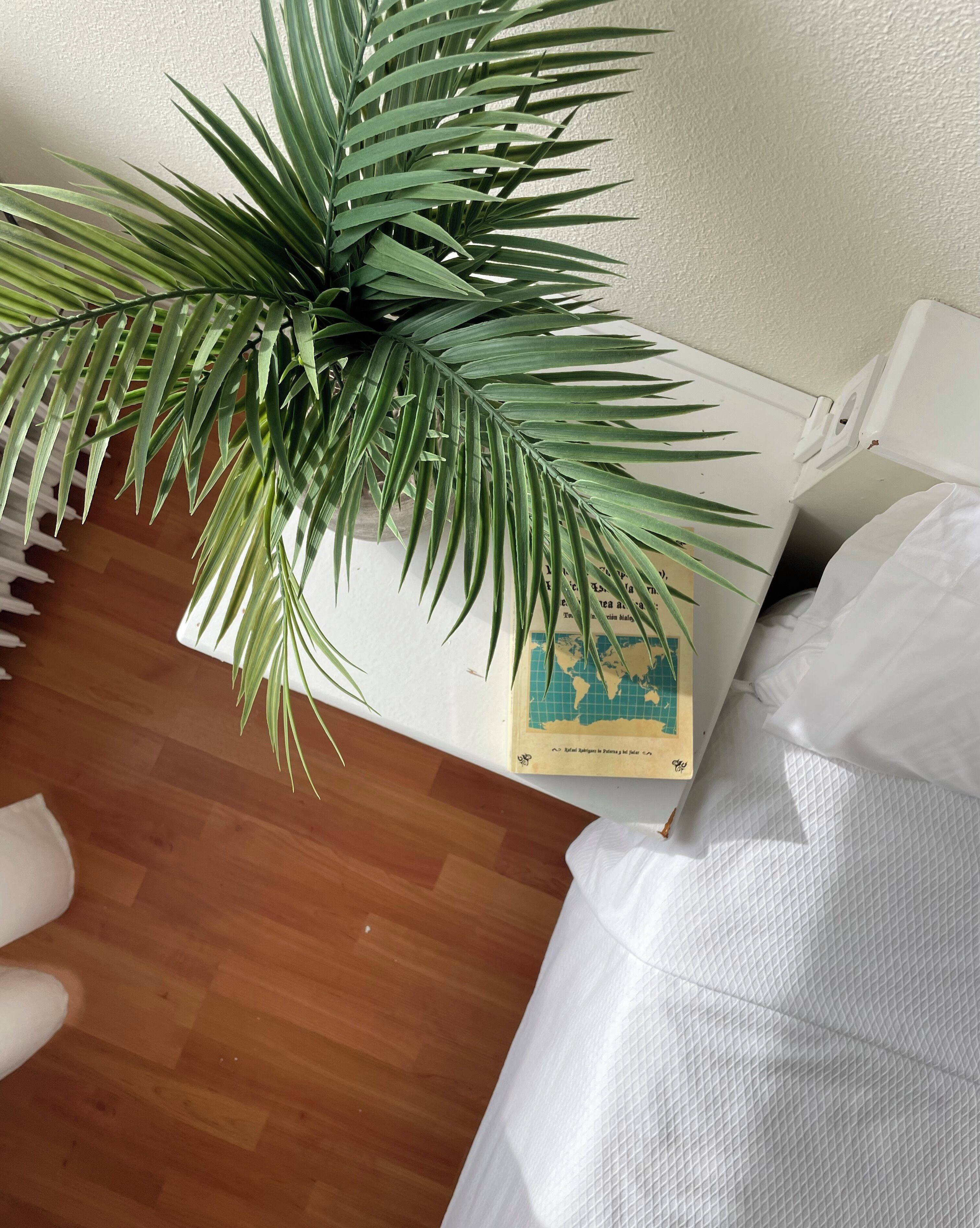 A room with a wooden floor, a white bed with a white pillow, and a white chair. There is a large green plant with long leaves on the floor.