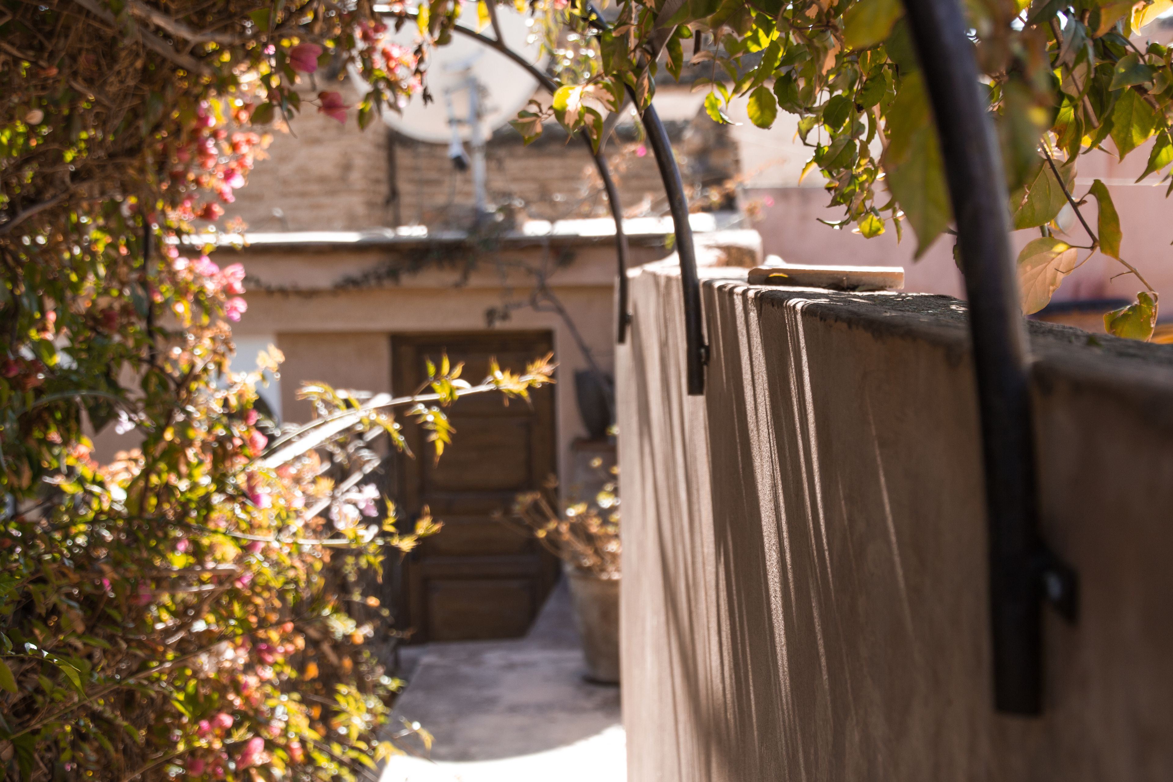 Foto - Riad Palais Sebban