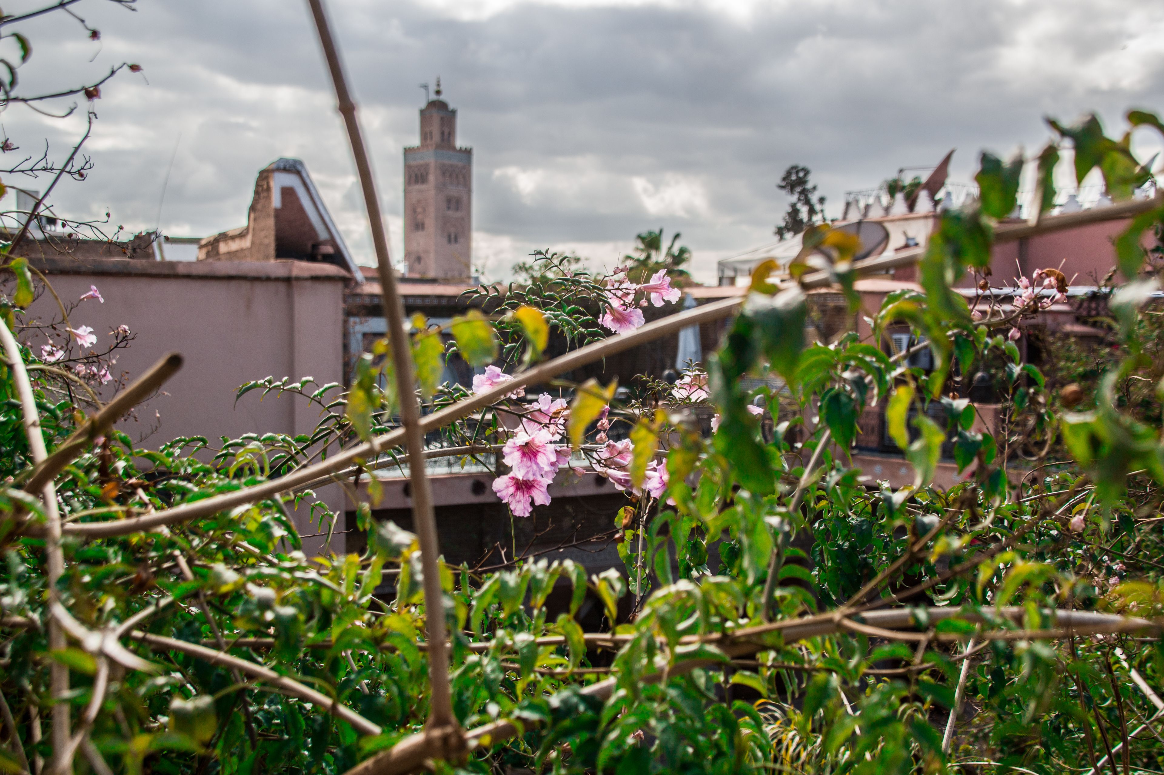 Foto - Riad Palais Sebban