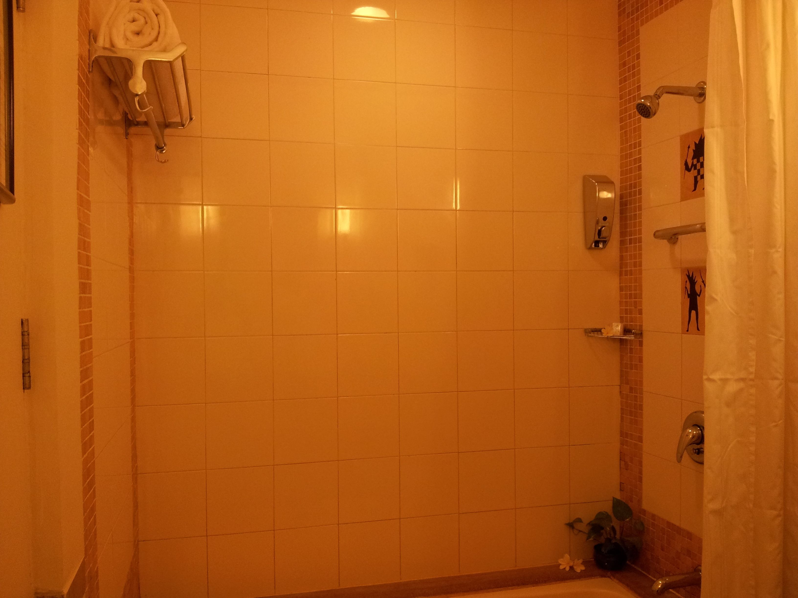 Une salle de bain avec des murs carrelés, une douche et un porte-serviettes.