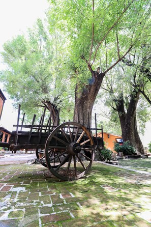 บริเวณที่พัก