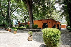 Un patio con plantas en macetas, un edificio con entrada de arco y un camino adoquinado.