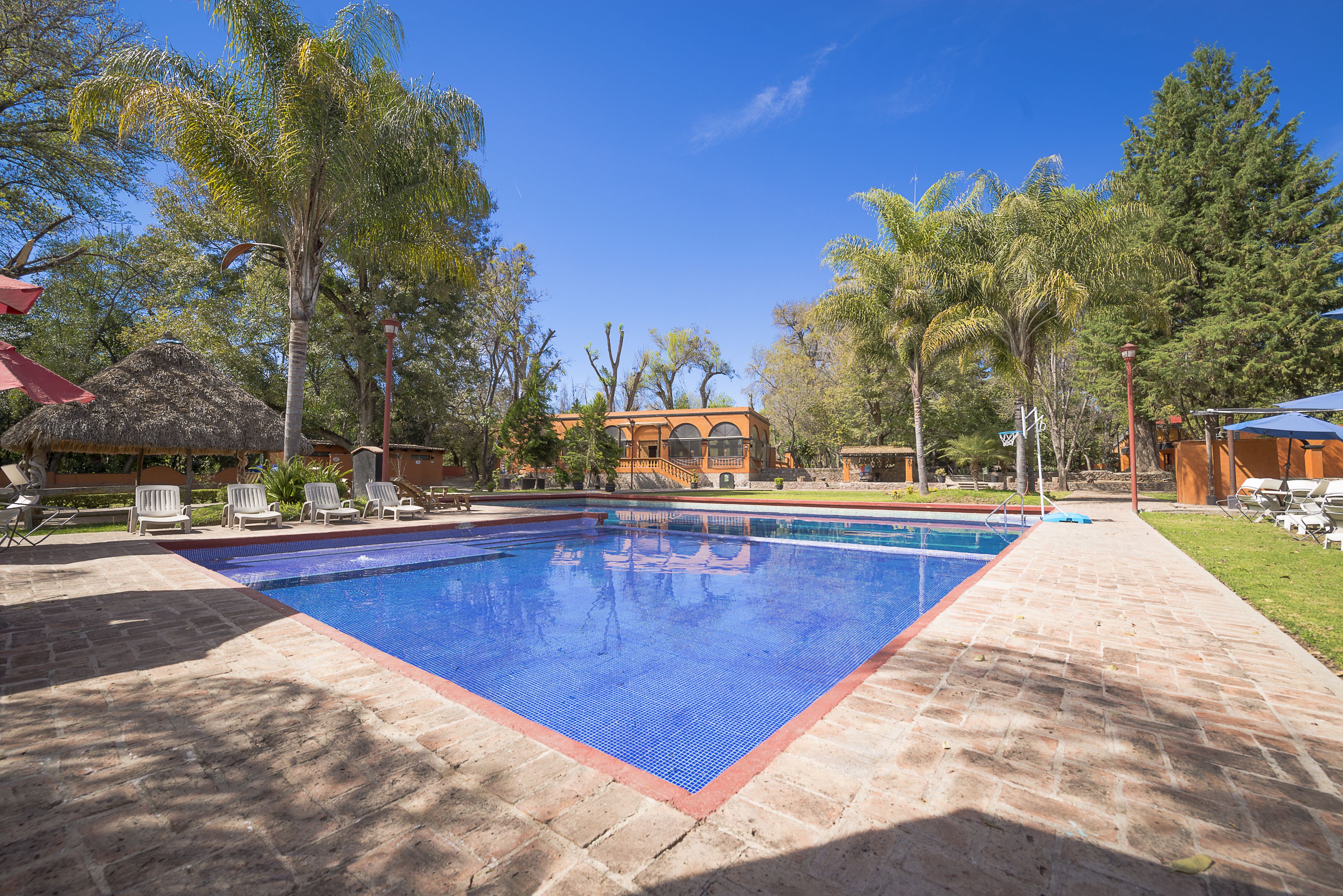 Una piscina al aire libre (de 08:00 a 19:00), tumbonas