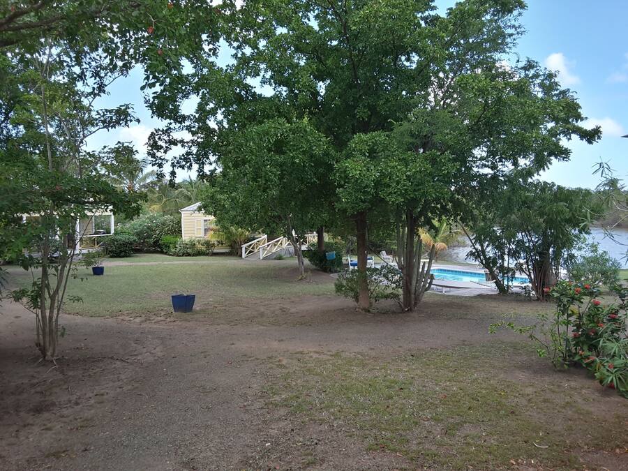 A backyard with a pool, trees, and a small house.