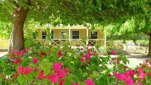 A yellow building with a balcony, surrounded by lush greenery and pink flowers. - Yepton Estate Cottages (St. John's)