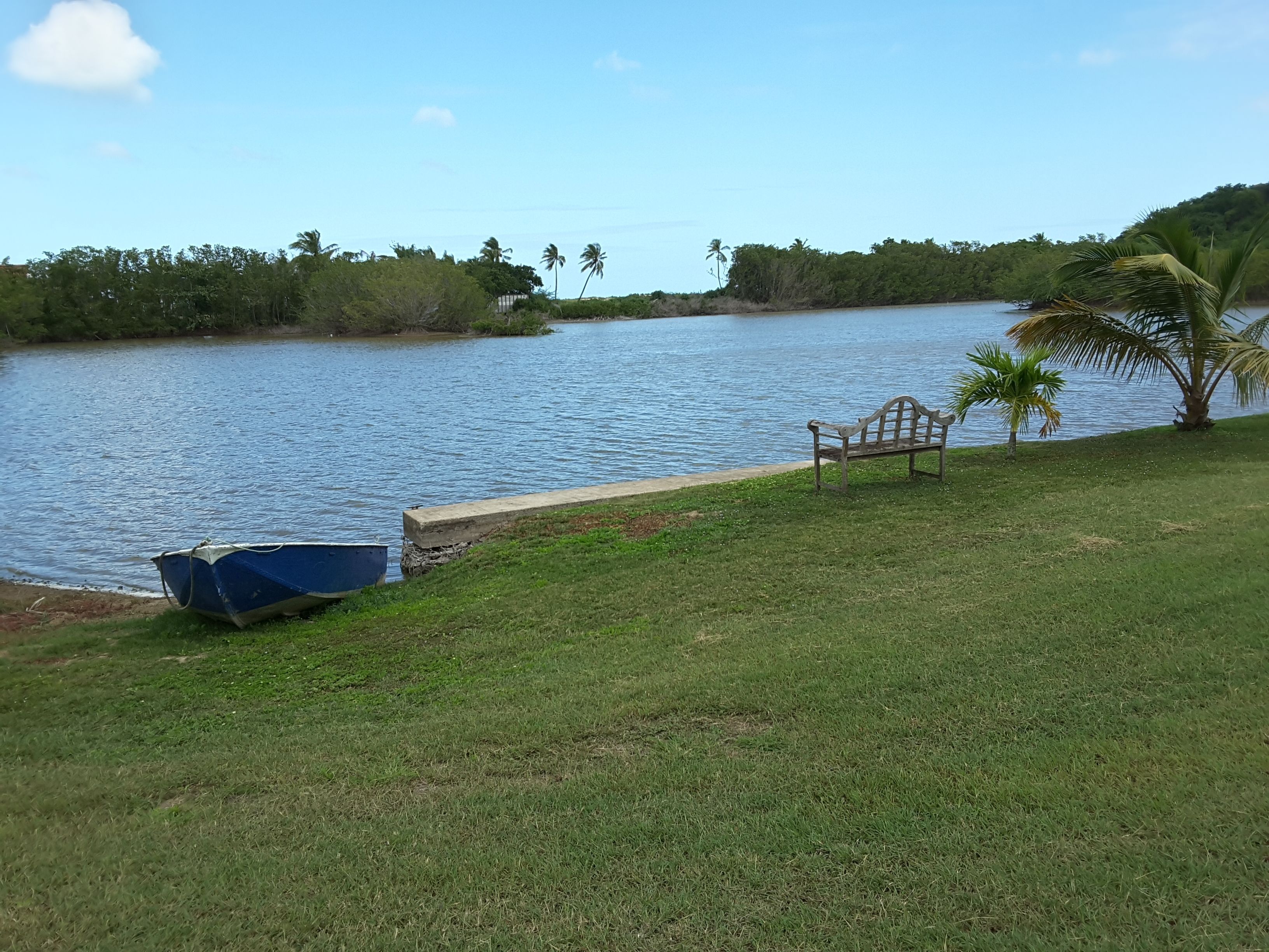 Un área cubierta de césped con un banco y un bote junto a un lago tranquilo, rodeado de árboles.