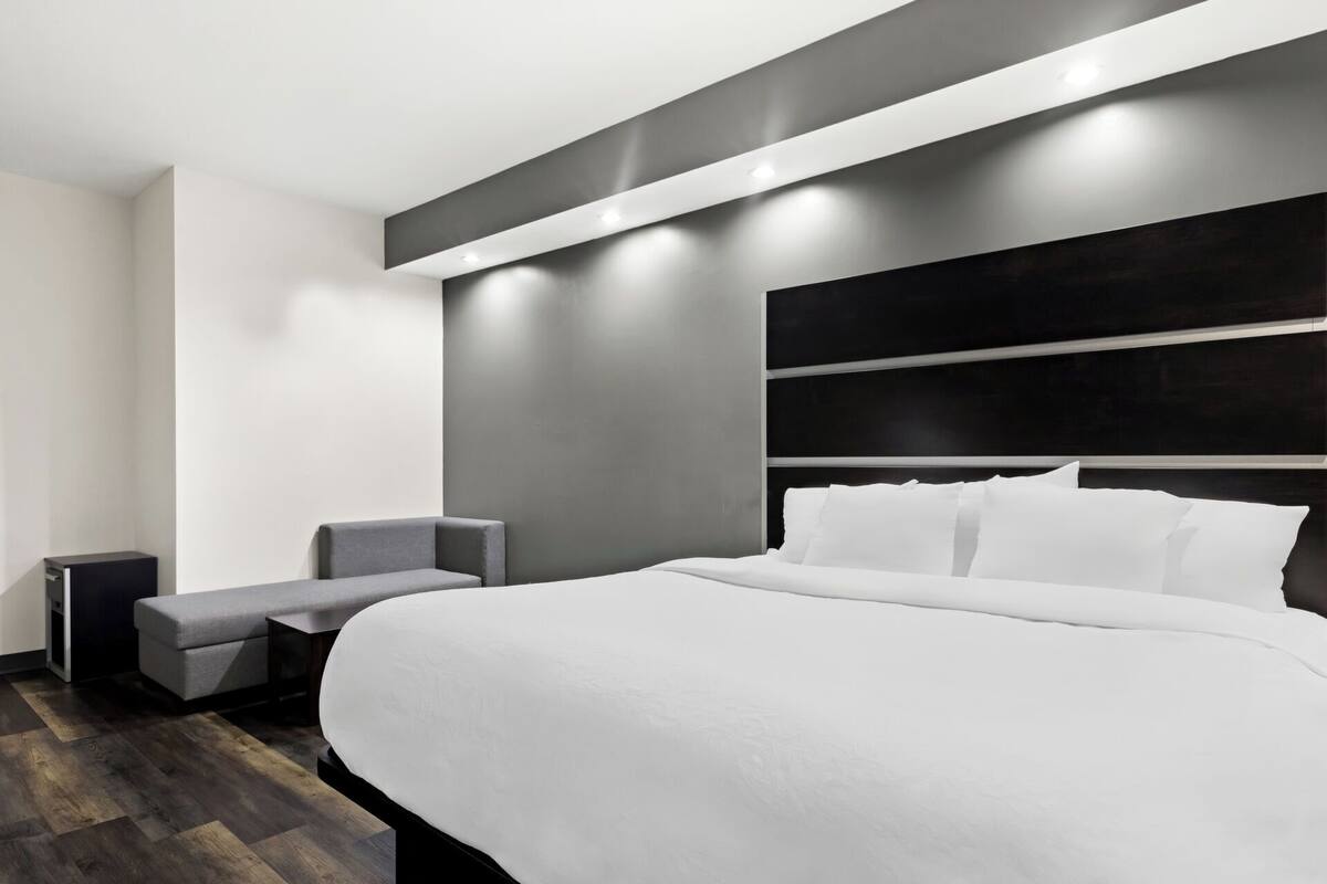 Room, 1 King Bed