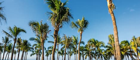 En la playa, camastros, toallas de playa y masajes en la playa