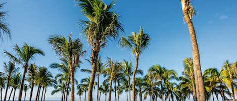 On the beach, sun-loungers, beach towels, beach massages