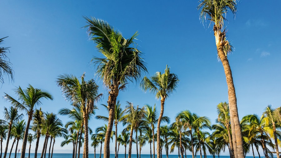 Hotel Riu Vallarta - All Inclusive