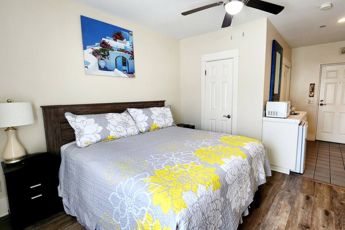 A bedroom with a bed, a ceiling fan, a nightstand, a lamp, a painting, and a door.