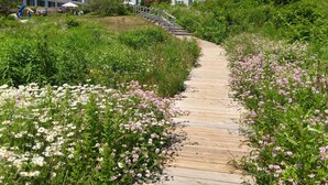 A wooden pathway surrounded by lush greenery and flowers, leading to a row of houses with a staircase.