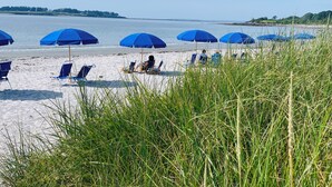 A beach with several blue umbrellas and lounge chairs.
