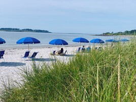Uma praia com vários guarda-sóis azuis e espreguiçadeiras.