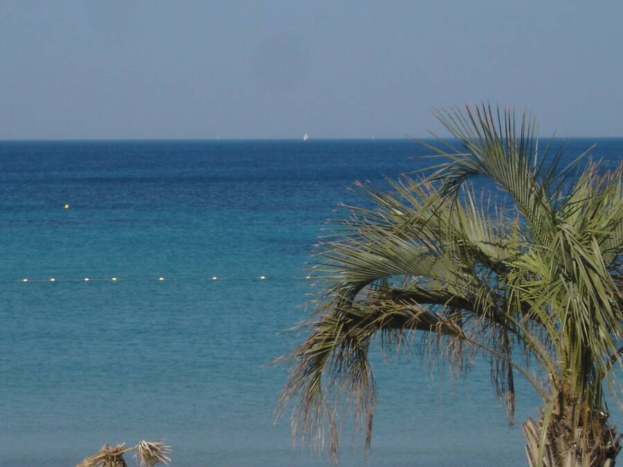 Vistas desde la habitación