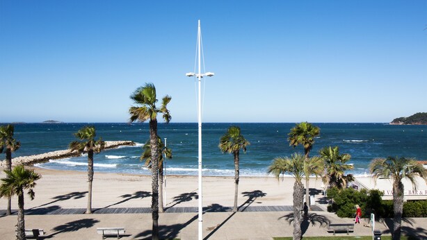A beach with palm trees, a flagpole, and a bench. - Bel Azur (Six-Fours-les-Plages)
