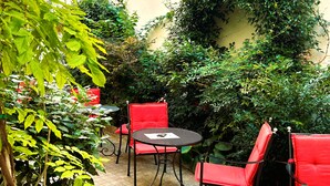 Teras/patio