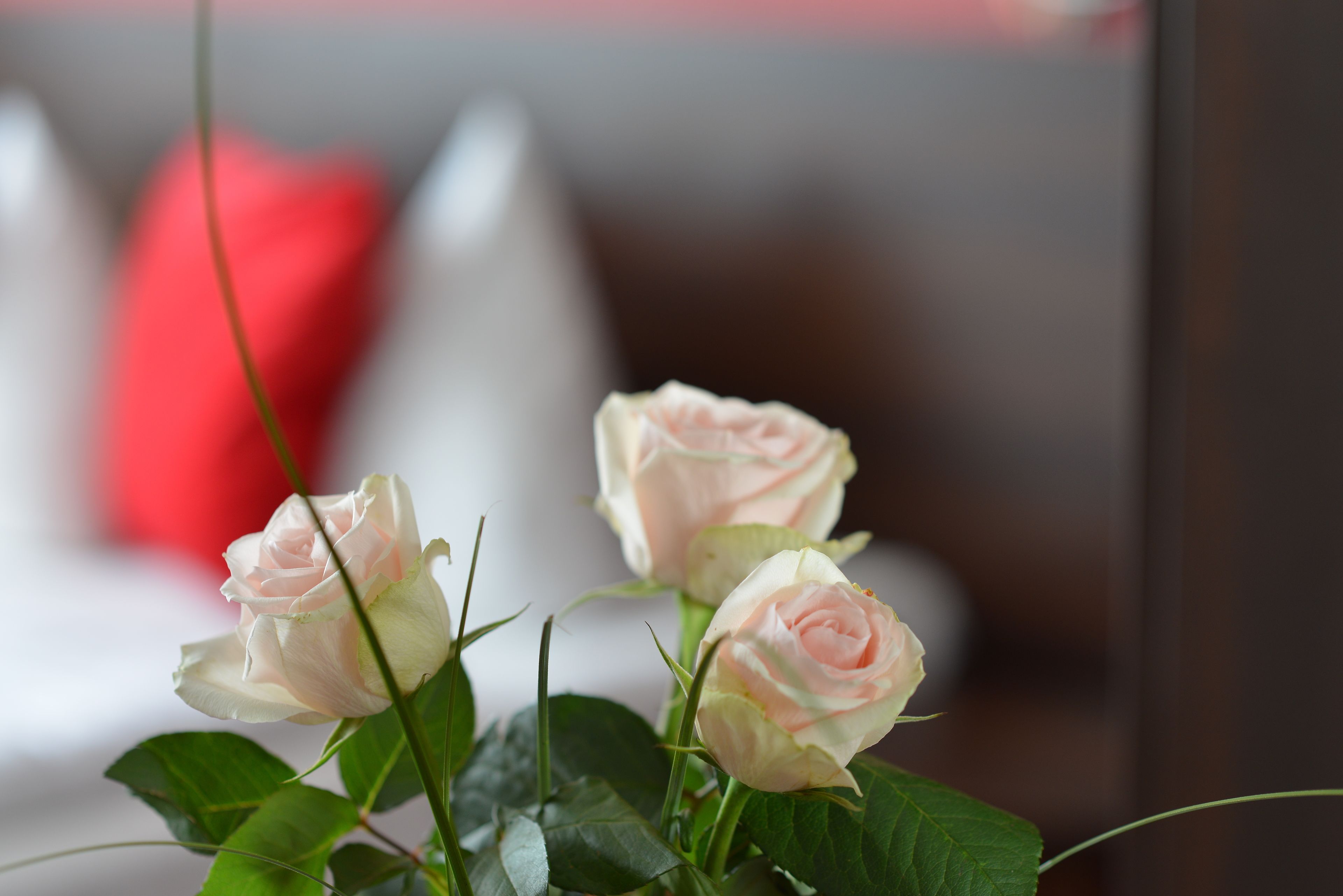 Foto - Atlas Berlin Hotel