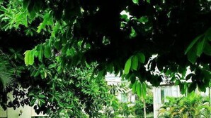 Property grounds - Tower Hotel - Haikou (Haikou)
