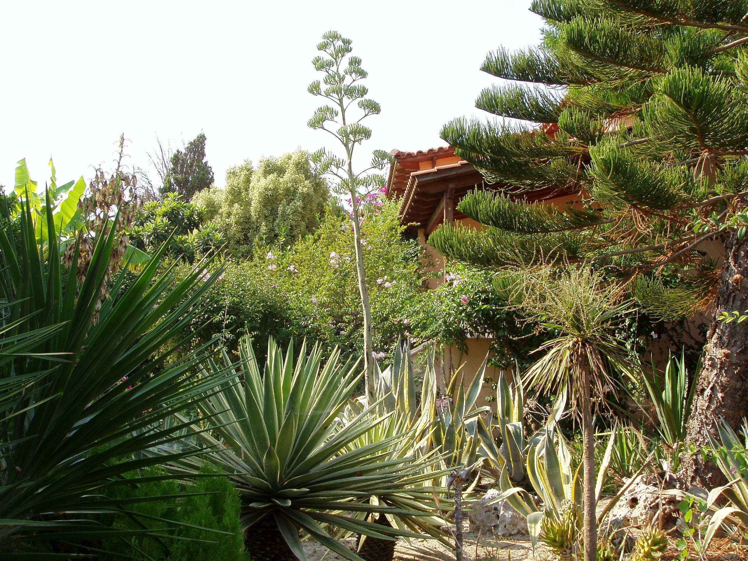 숙박 시설 구내