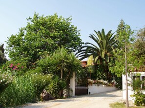 Property grounds - Baha Ammes (Kefalonia)