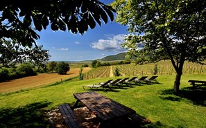 Aire de pique-nique/barbecue