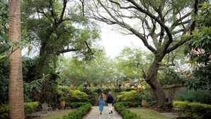 A stone pathway in a garden with a bench, trees, and a brick wall in the background. - 20 South Battery (Charleston)
