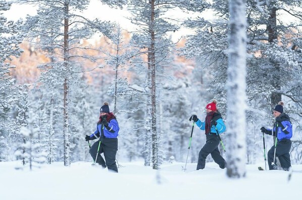 A snowy forest scene with people cross-country skiing.