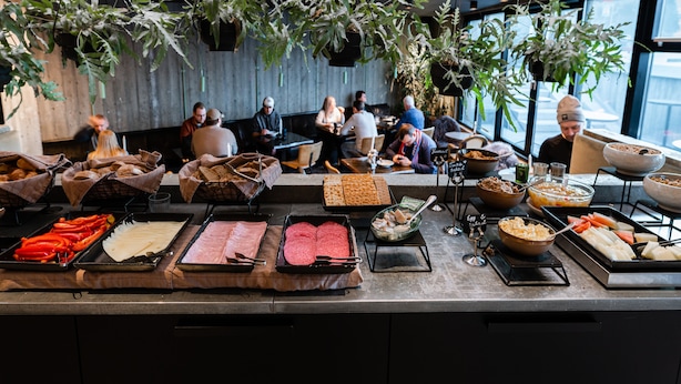 Ein Buffet mit verschiedenen Speisen und hängenden Pflanzen.