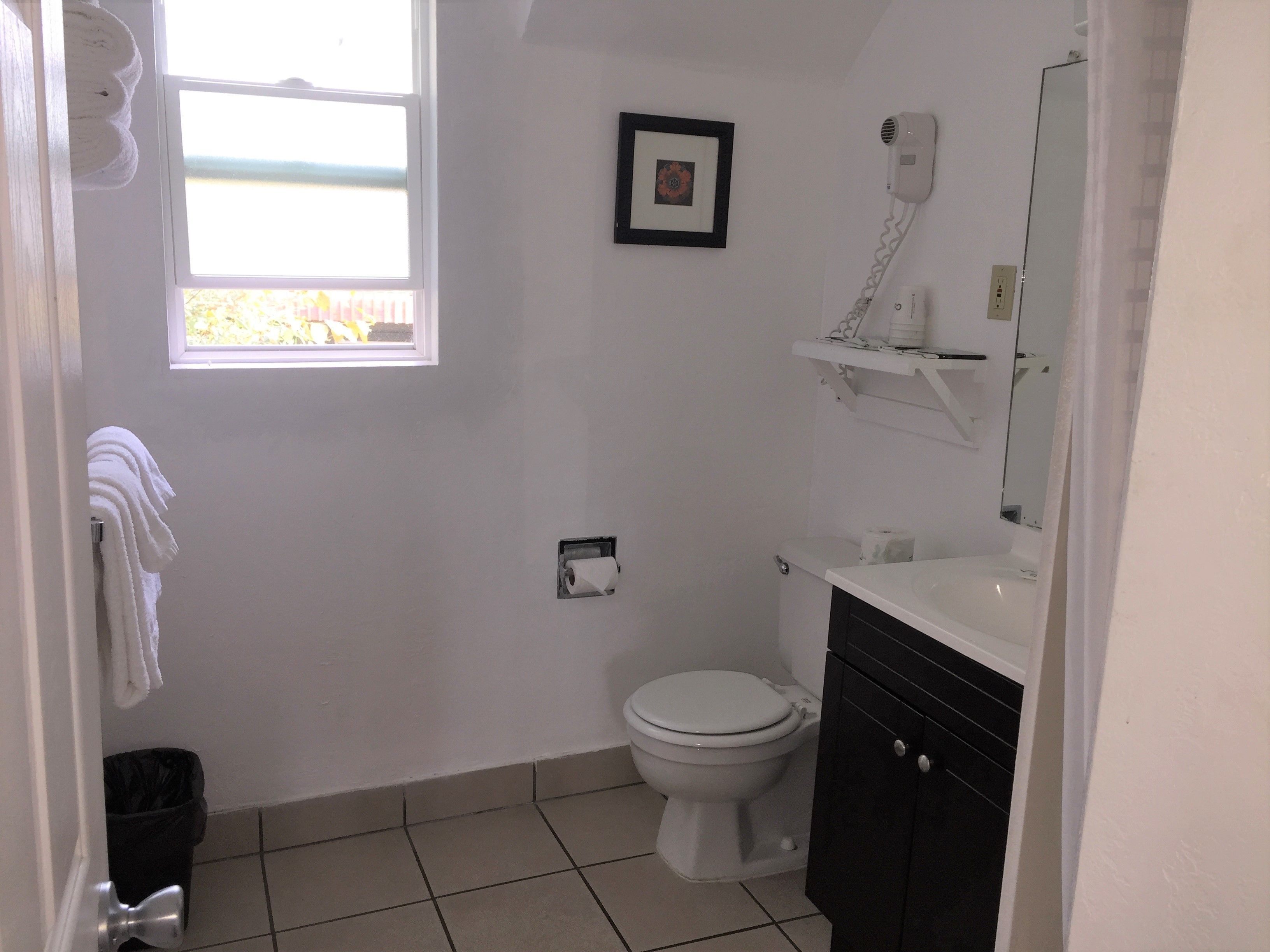 Une salle de bain équipée d’un WC, d’un porte-serviettes, d’un tableau accroché au mur, d’un sèche-cheveux et d’un miroir.