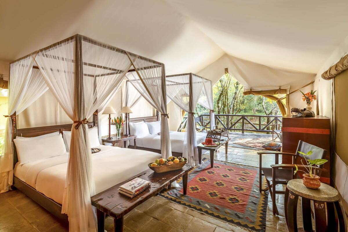 room, 2 queen beds (riverfront tent with twin beds) | pillow-top beds, minibar, in-room safe, desk