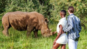Un couple se promène dans un champ herbeux, avec un rhinocéros en arrière-plan.