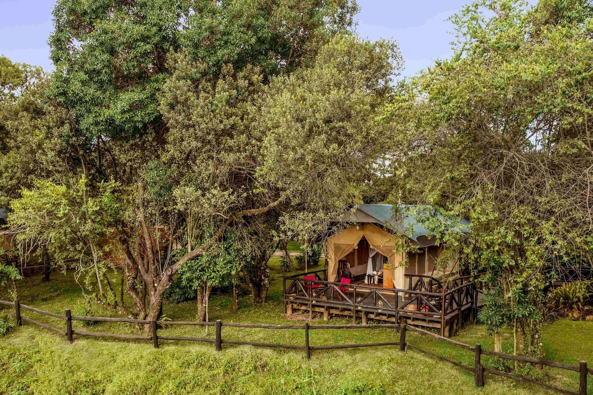 Colchones con pillow-top, minibar y caja de seguridad en la habitación