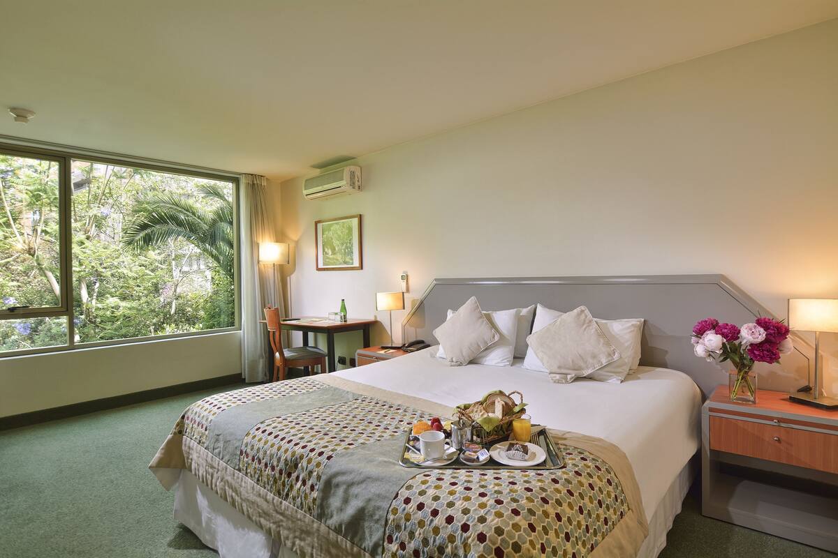Habitación de hotel con una cama grande, un escritorio, una silla, una mesita de noche y una ventana con vistas a árboles.