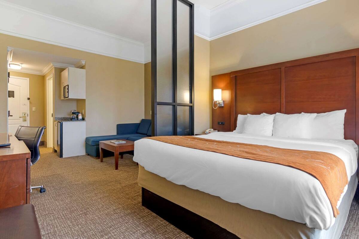 A hotel room with a bed, a desk, a chair, a sofa, a small kitchenette, and a mirror.