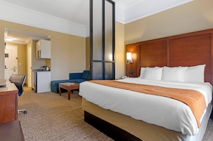 Habitación de hotel con una cama grande, un escritorio, una silla, un sofá, una cafetera y un minibar.