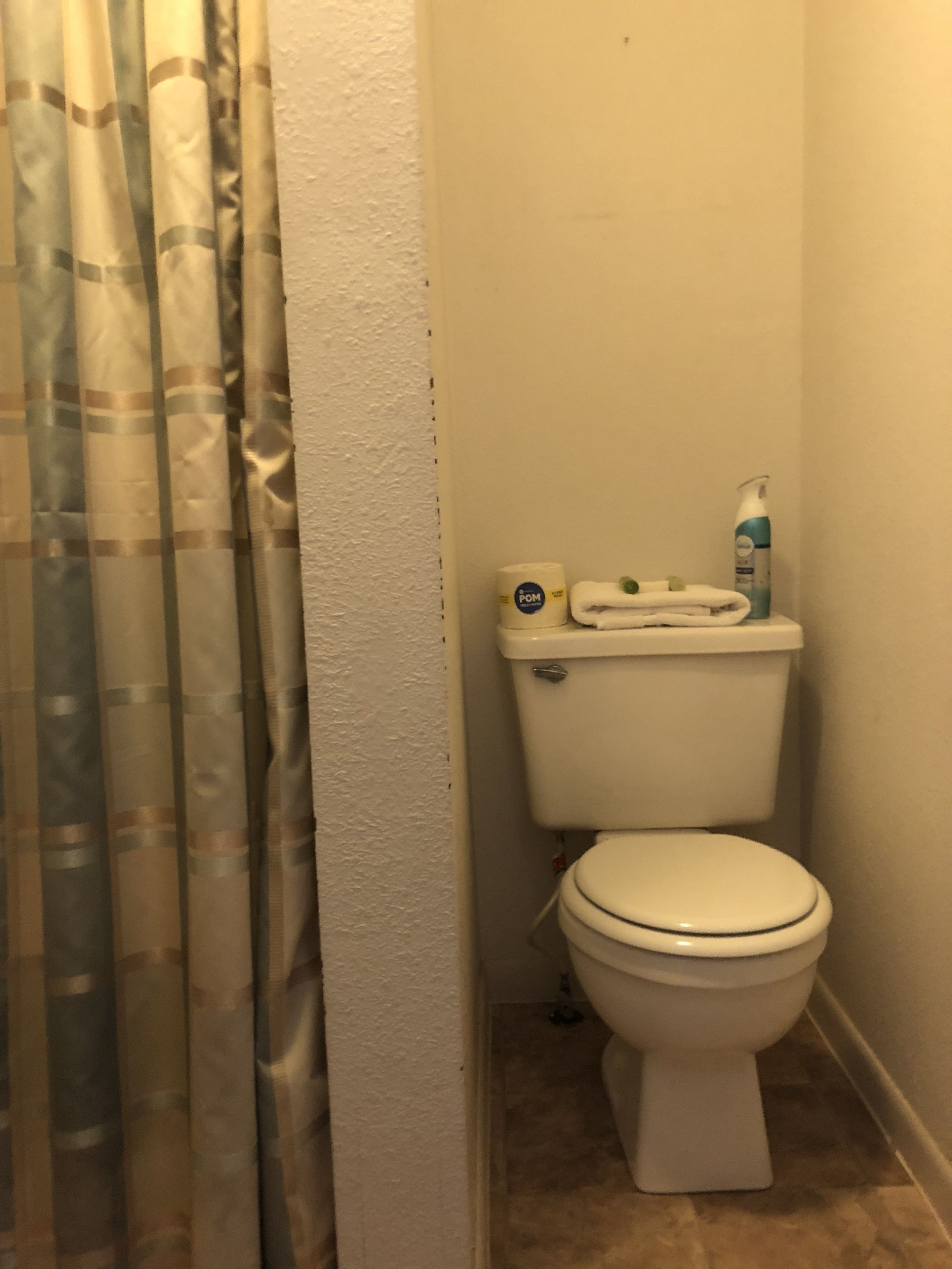 Un baño con inodoro, un rollo de papel higiénico, una botella de jabón para manos y una cortina de ducha.