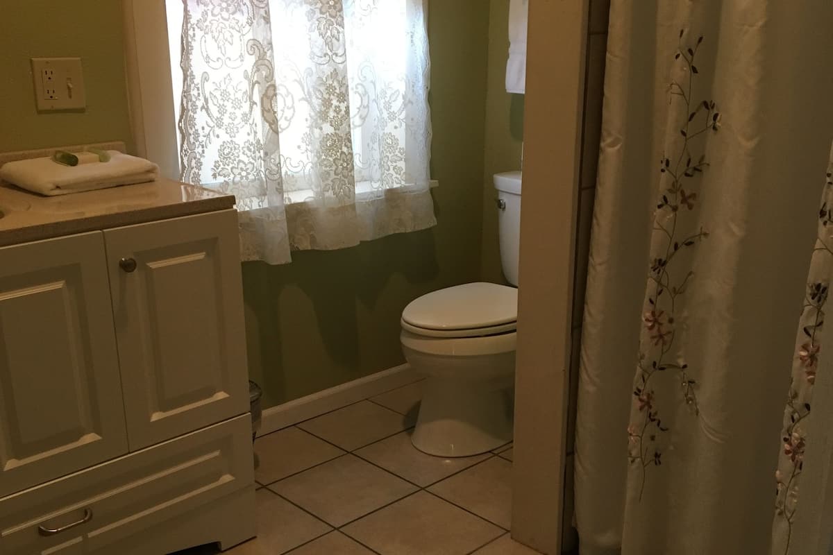 room (room #16, king bed) | bathroom | combined shower/bathtub, towels