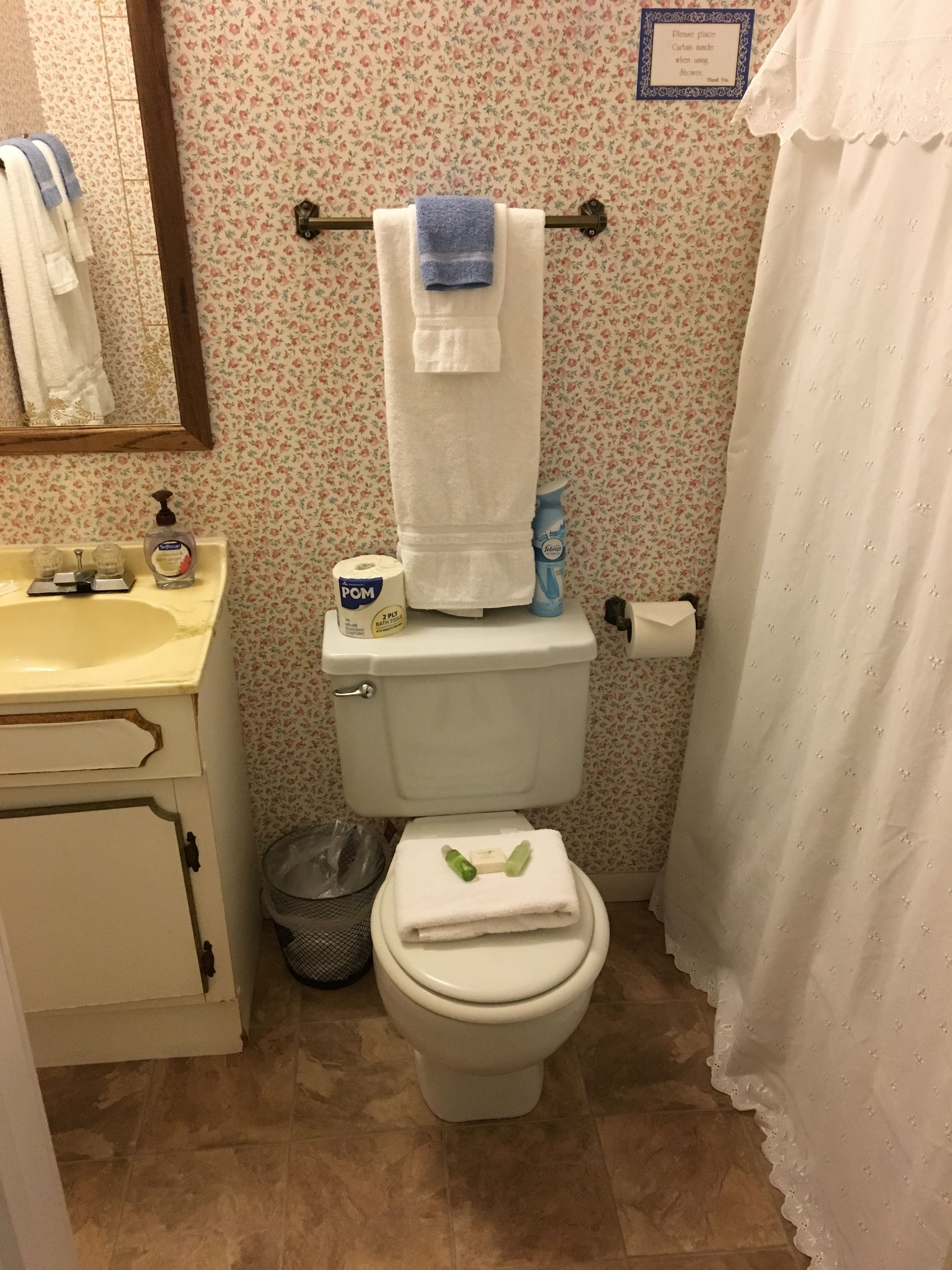 A bathroom with a toilet, sink, and a towel rack.