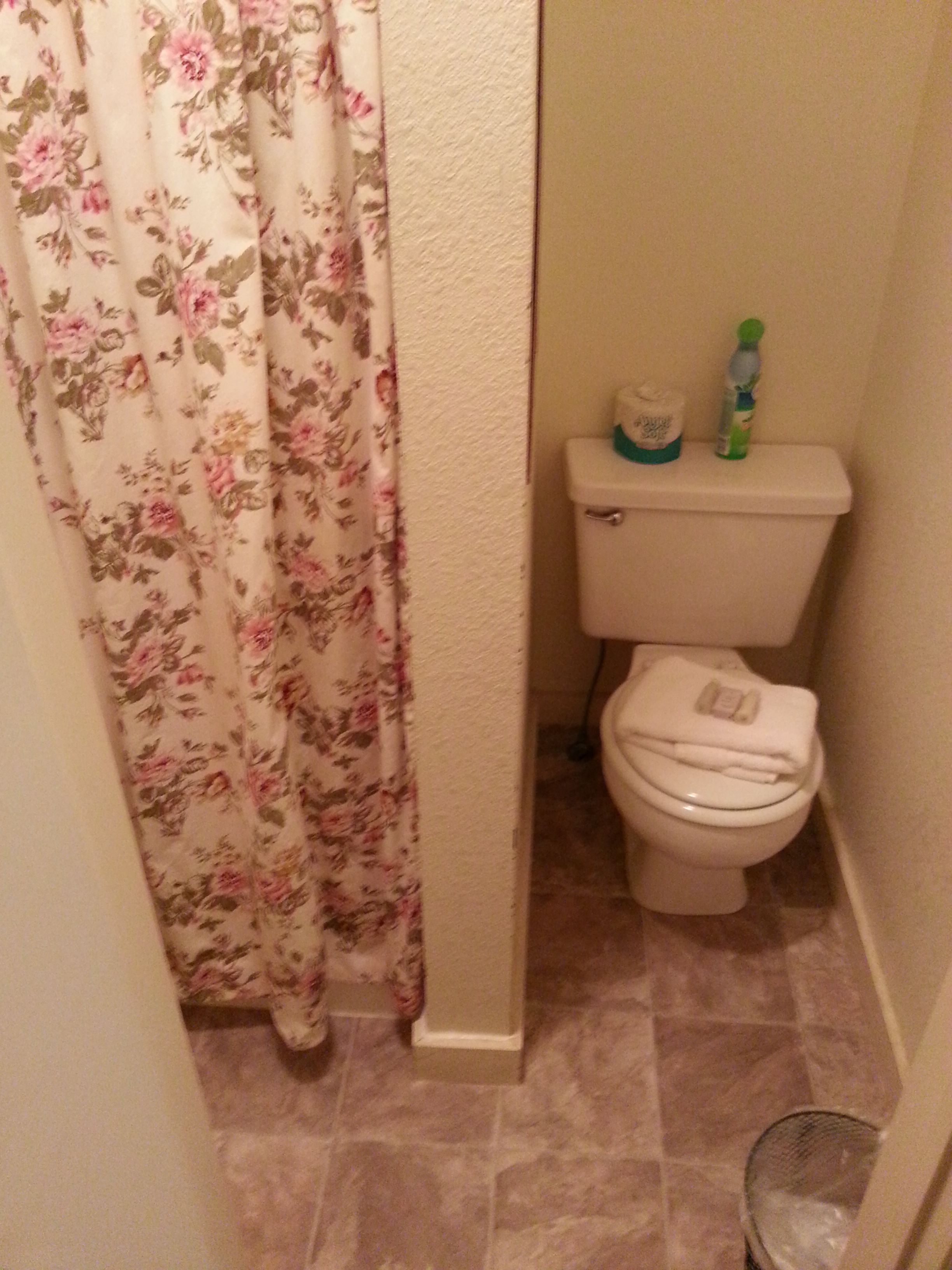 A bathroom with a toilet, a shower curtain, and a trash can.