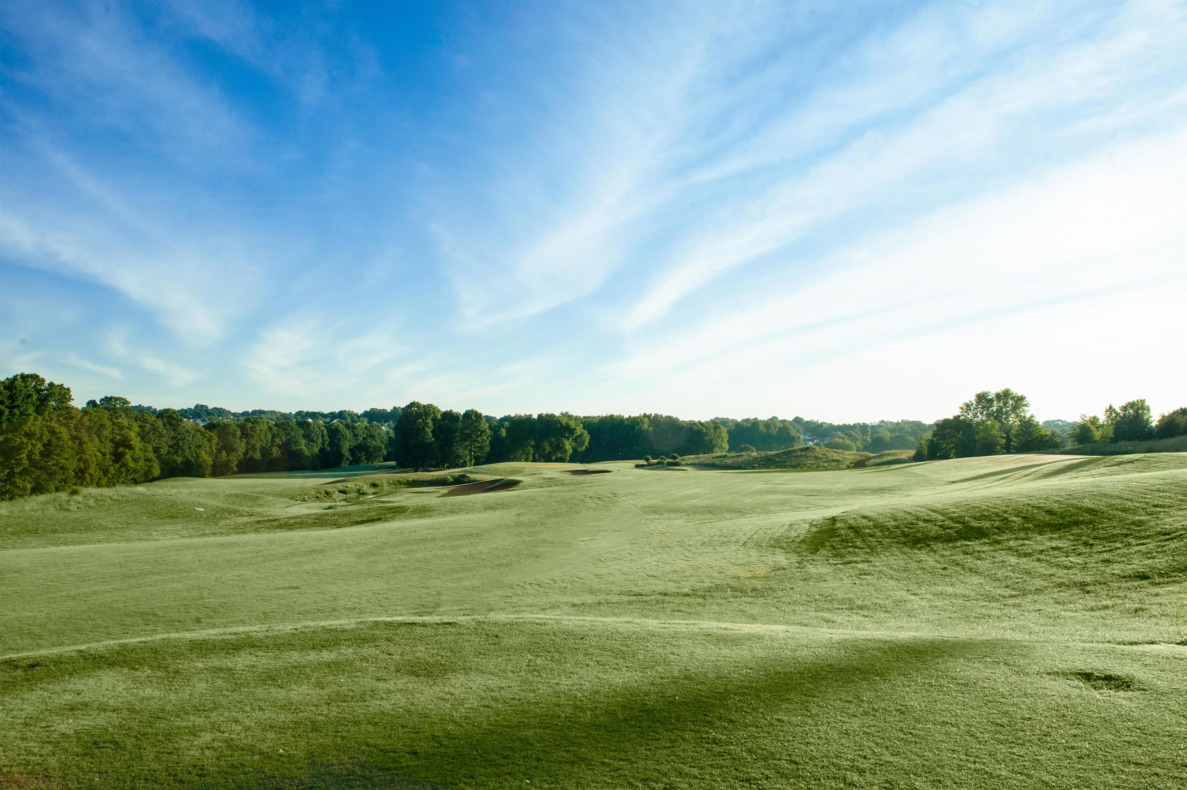 A vast, open grassy field with gentle slopes and a line of trees in the distance.