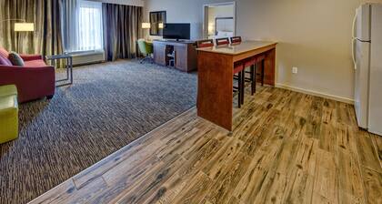 Hampton Inn by Hilton Dunn