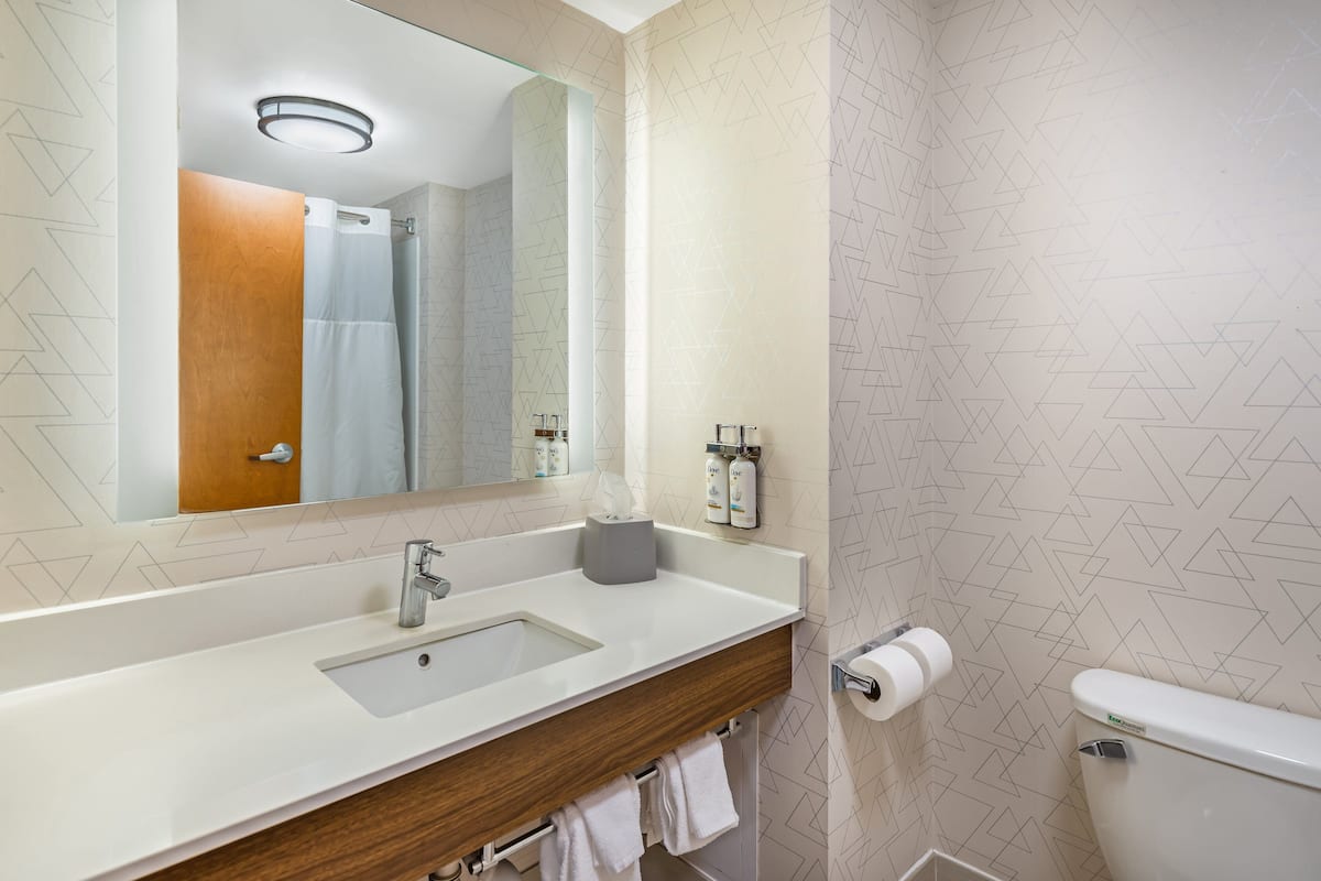 Une salle de bain moderne avec un grand miroir, un lavabo avec un meuble-vasque en bois, des toilettes et un espace douche.