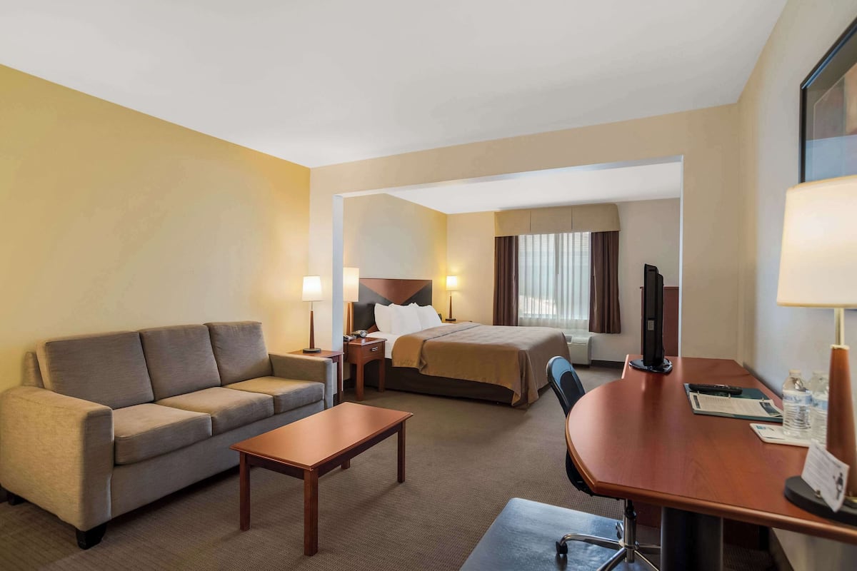A hotel room with a sofa, a bed, a desk, and a television.