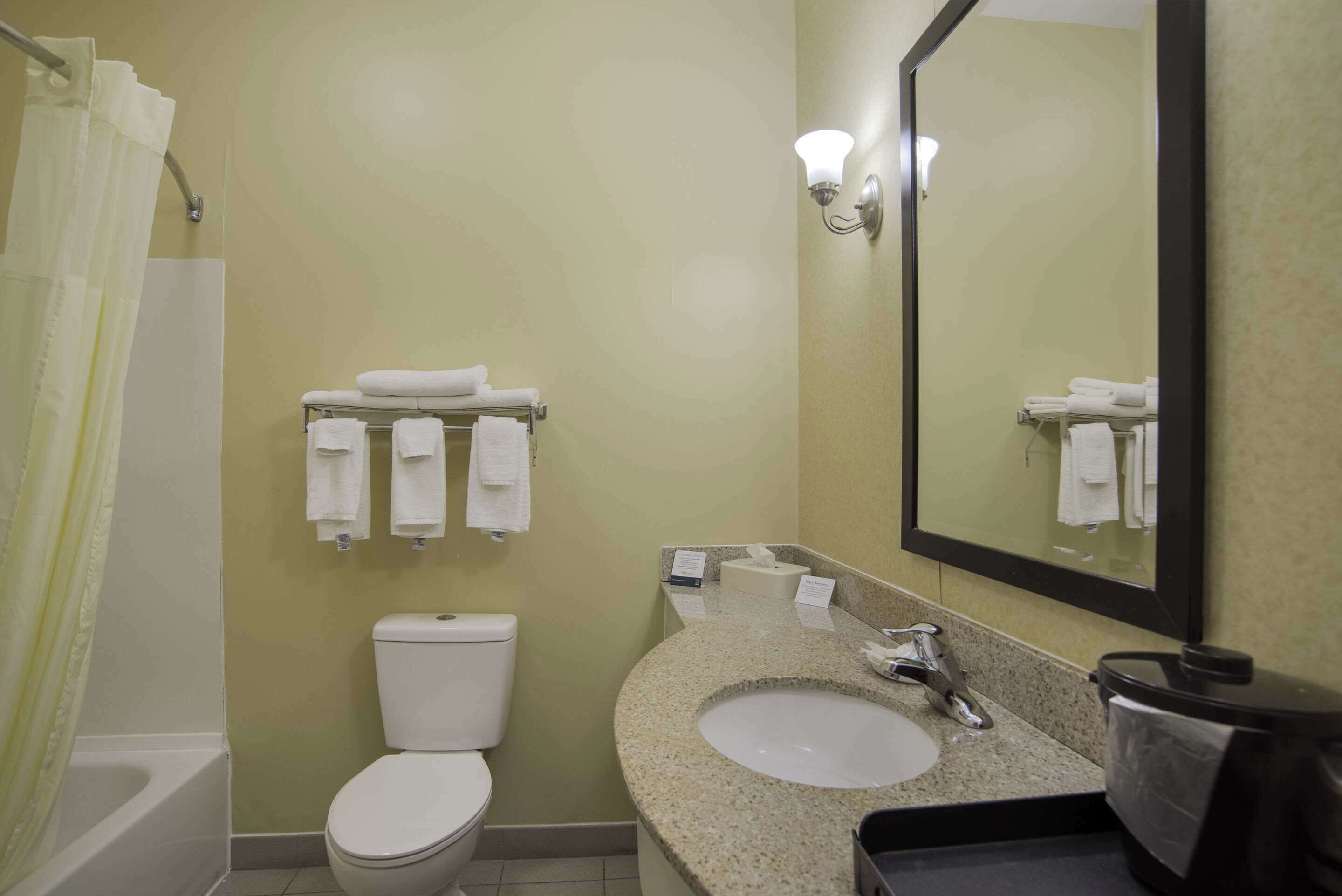 Une salle de bain avec des toilettes, un lavabo et un rideau de douche.