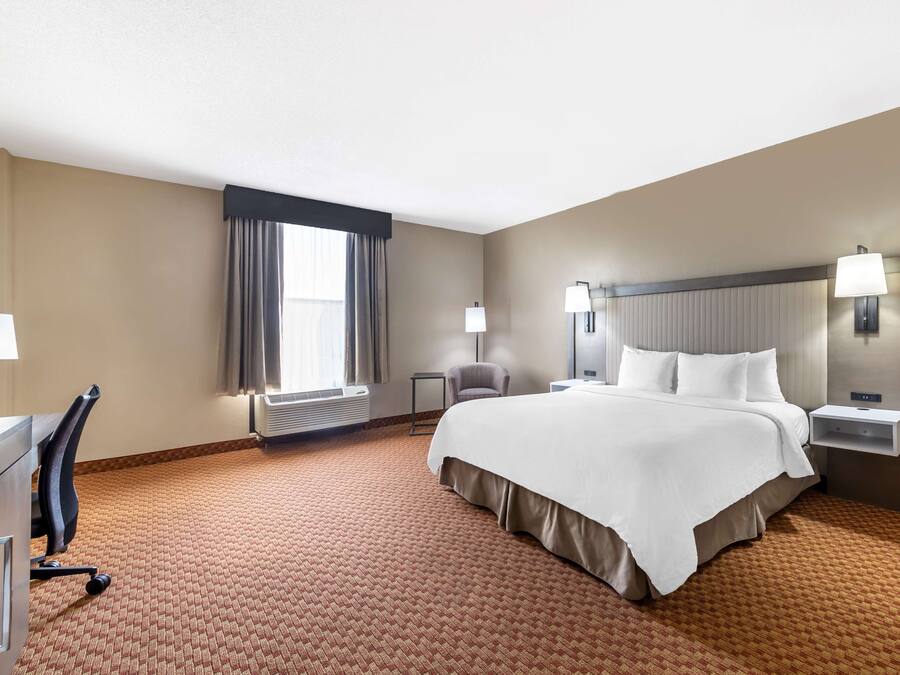 Habitación de hotel con una cama grande, dos mesitas de noche con lámparas, un escritorio con silla, una ventana con cortinas y suelo alfombrado.